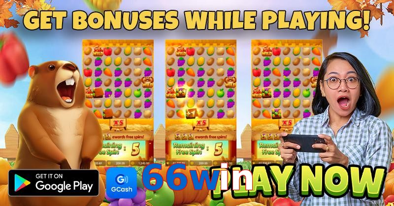 66win