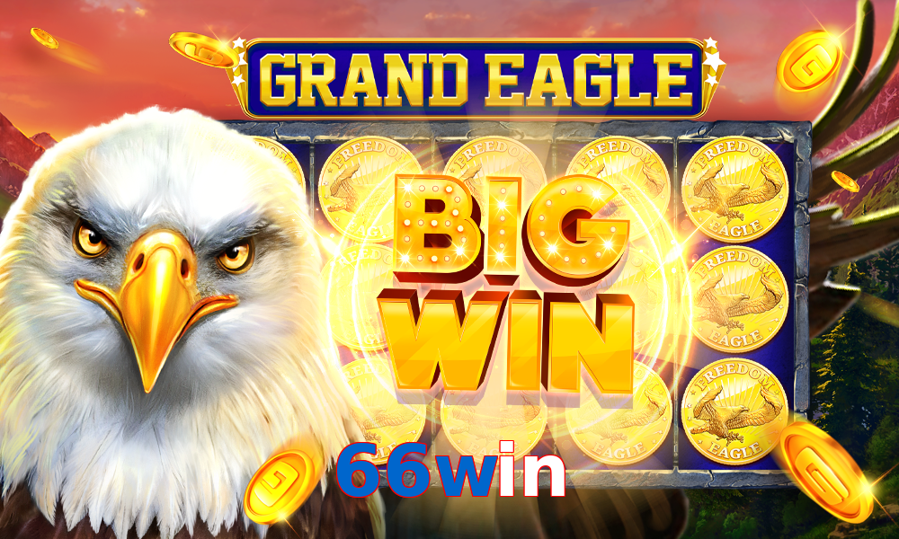 66win