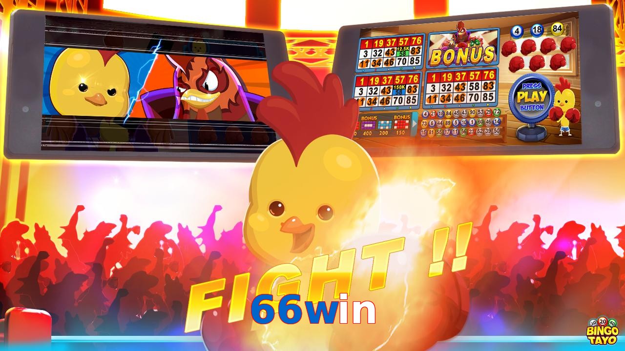 66win