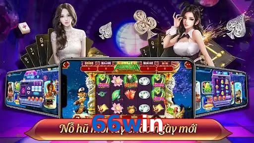 66win