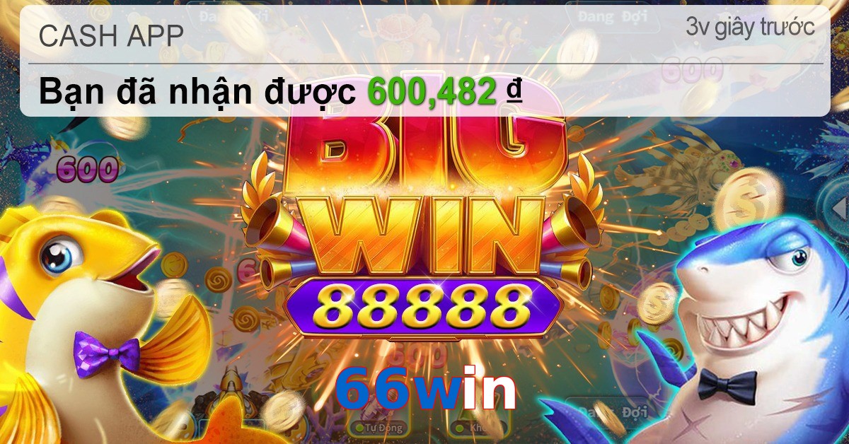 66win