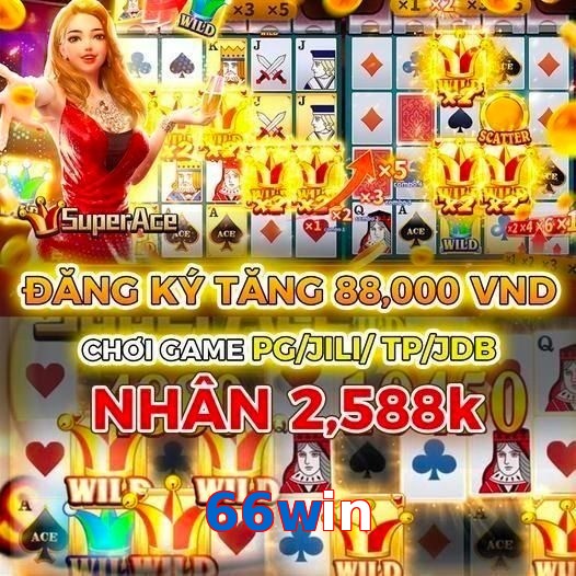 66win